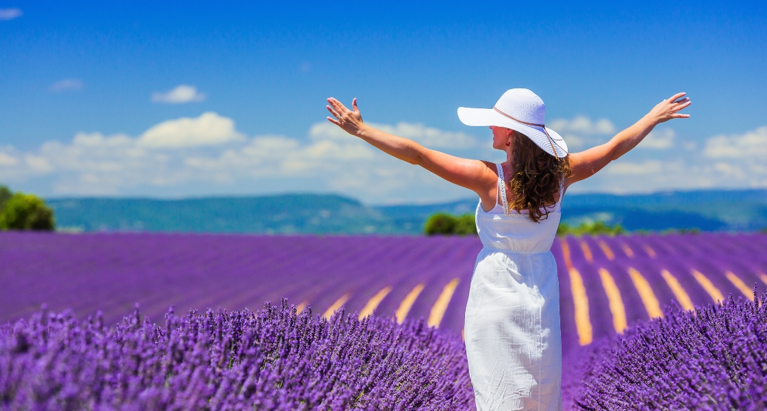 Woman exploring the lavender fields in Provence