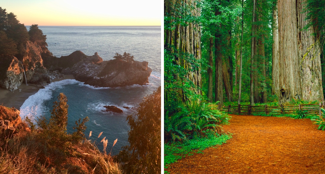 McWay Falls and the Giant Redwood Forest, both in the Big Sur region of California