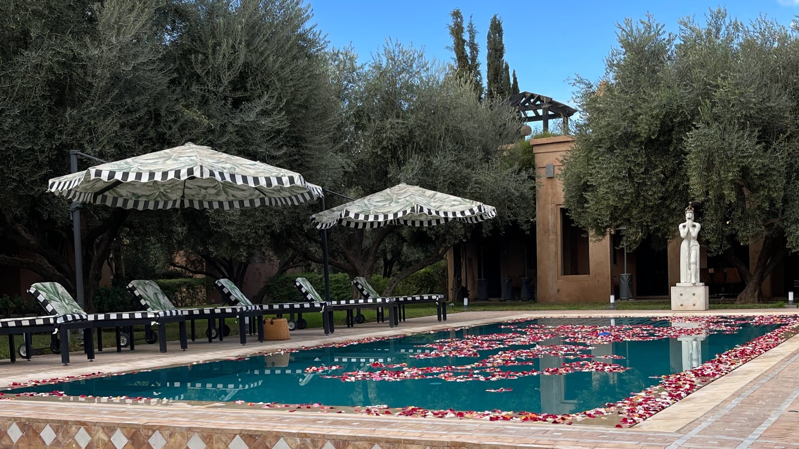 Swimming pool adorned with rose petals at Magical Moroccan Women’s Retreat, hosted at the Peacock Pavilions in Marrakech.