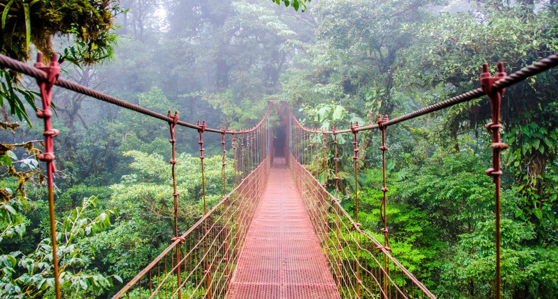 Monteverde cloudforest in northern Costa Rica